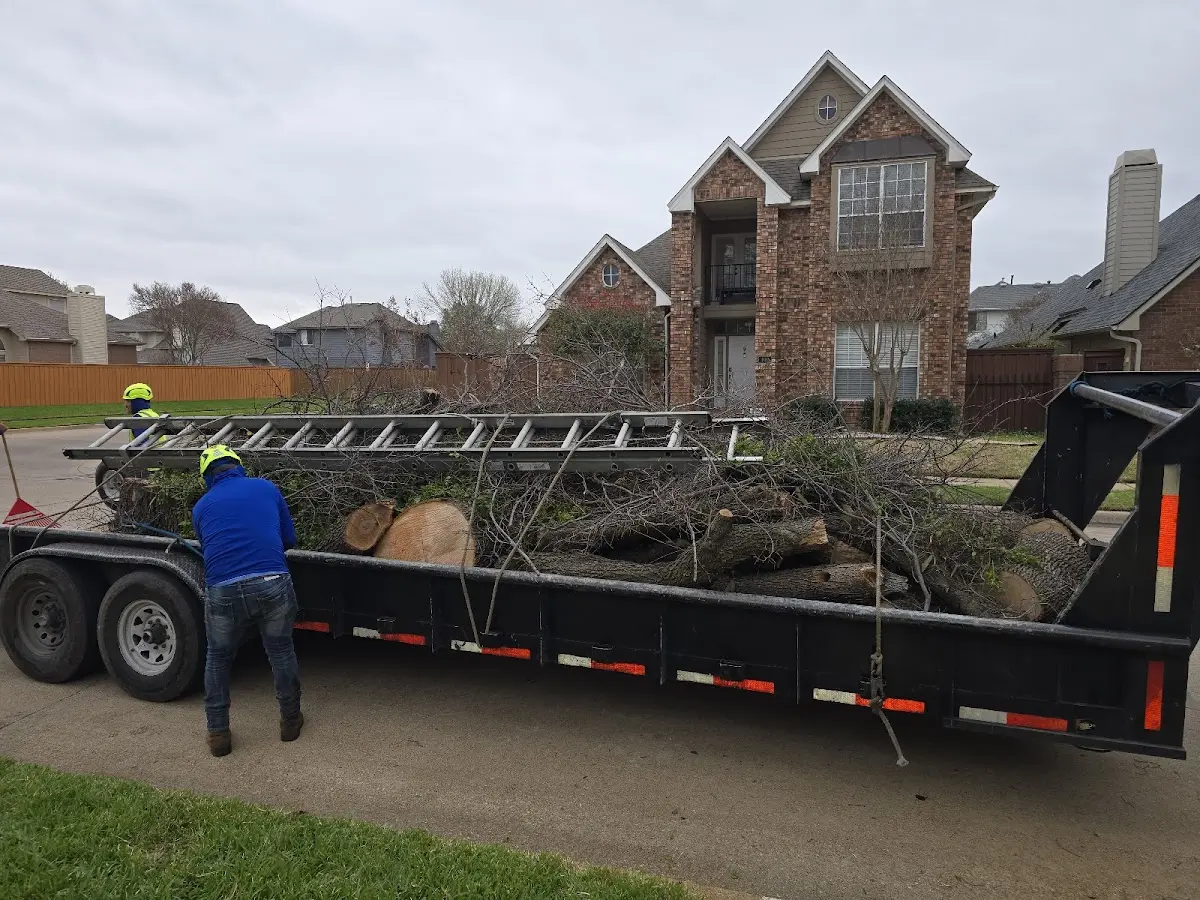Expert Lot Clearing with proper safety equipment in Dutton